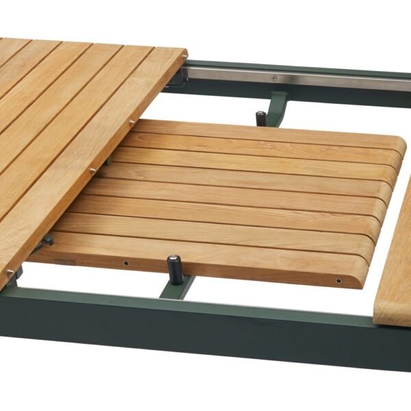 Pelagus Extension Panel